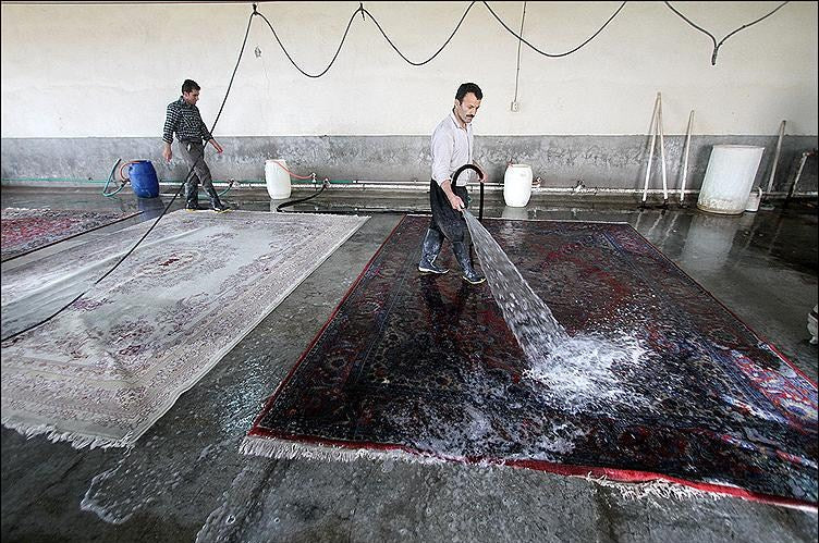 Dusting Cleaning Rug Dedusting Rug and Carpet in Vancouver – Pazyrykrug